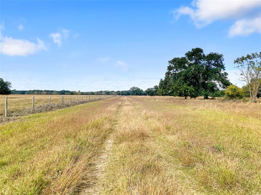 0 County Road 740 Off, Danciger, Texas 77444, ,1 BathroomBathrooms,Country Homes/acreage,For Sale,County Road 740 Off,94350166