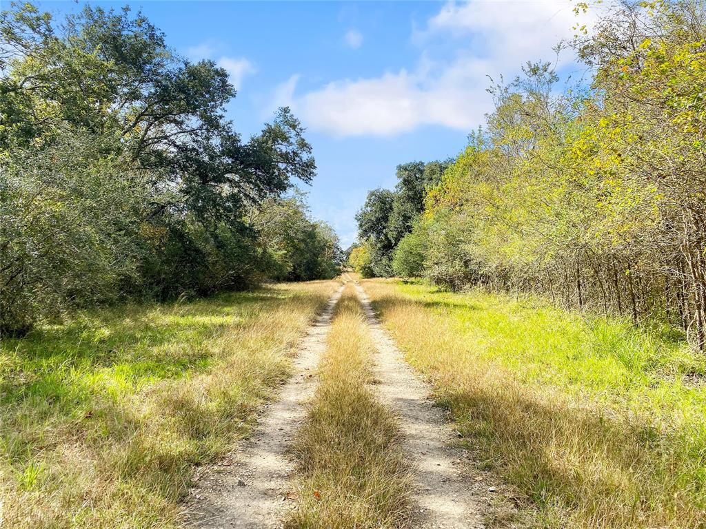 0 County Road 740 Off, Danciger, Texas 77444, ,1 BathroomBathrooms,Country Homes/acreage,For Sale,County Road 740 Off,94350166