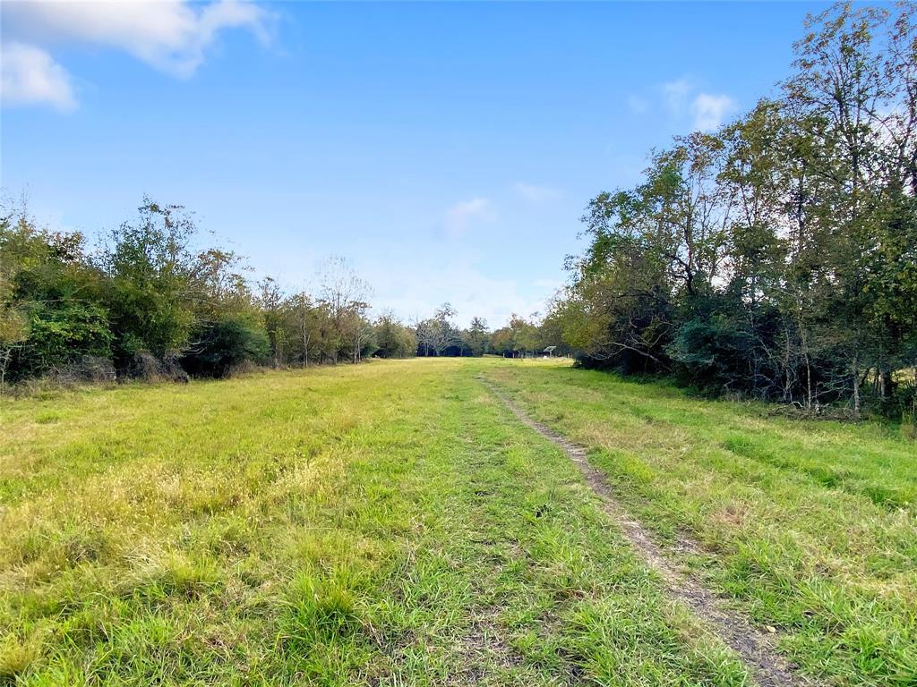 0 County Road 740 Off, Danciger, Texas 77444, ,1 BathroomBathrooms,Country Homes/acreage,For Sale,County Road 740 Off,94350166