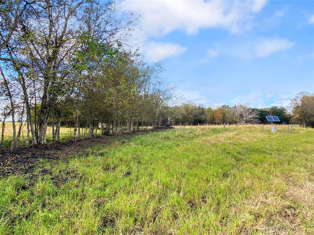 0 County Road 740 Off, Danciger, Texas 77444, ,1 BathroomBathrooms,Country Homes/acreage,For Sale,County Road 740 Off,94350166