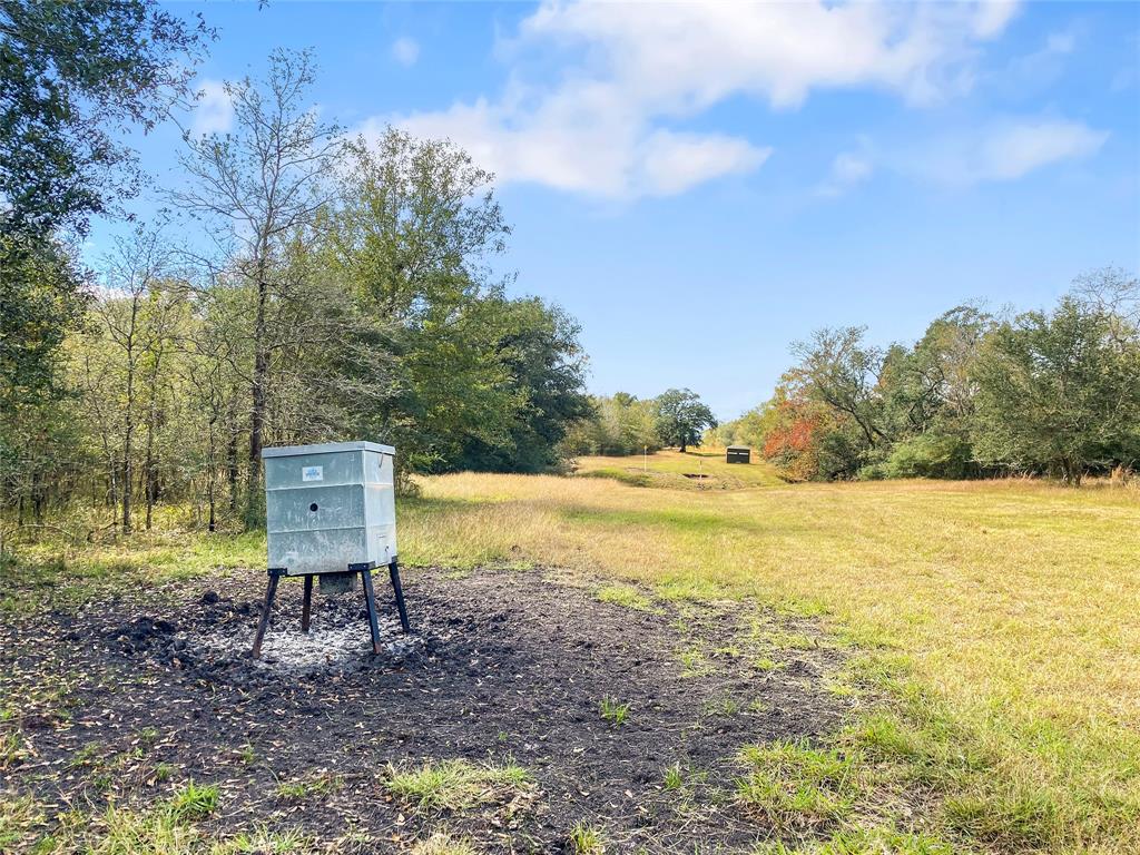 0 County Road 740 Off, Danciger, Texas 77444, ,1 BathroomBathrooms,Country Homes/acreage,For Sale,County Road 740 Off,94350166