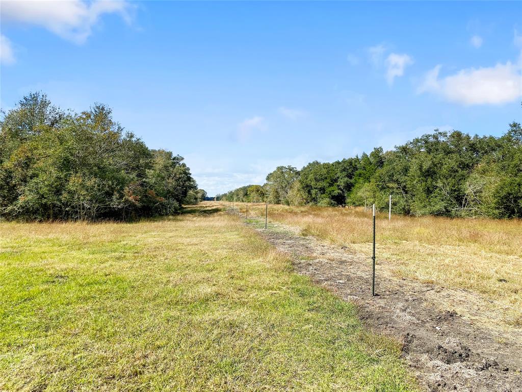 0 County Road 740 Off, Danciger, Texas 77444, ,1 BathroomBathrooms,Country Homes/acreage,For Sale,County Road 740 Off,94350166