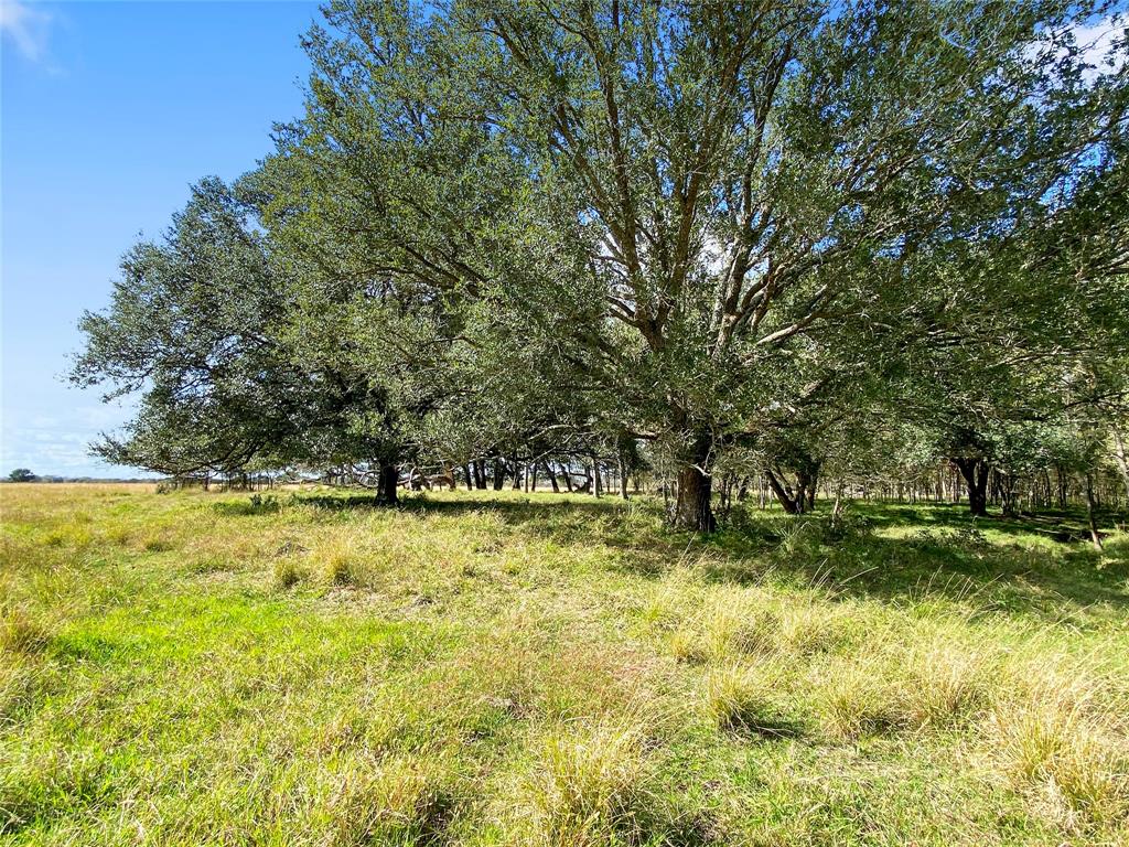 0 County Road 740 Off, Danciger, Texas 77444, ,1 BathroomBathrooms,Country Homes/acreage,For Sale,County Road 740 Off,94350166