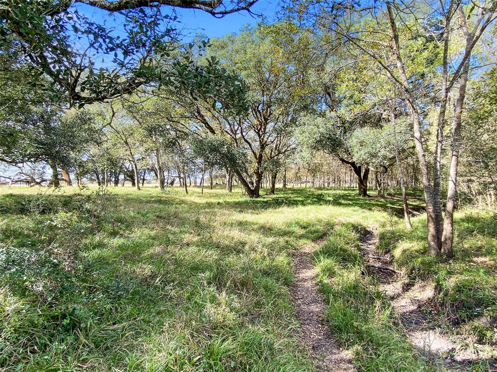 0 County Road 740 Off, Danciger, Texas 77444, ,1 BathroomBathrooms,Country Homes/acreage,For Sale,County Road 740 Off,94350166