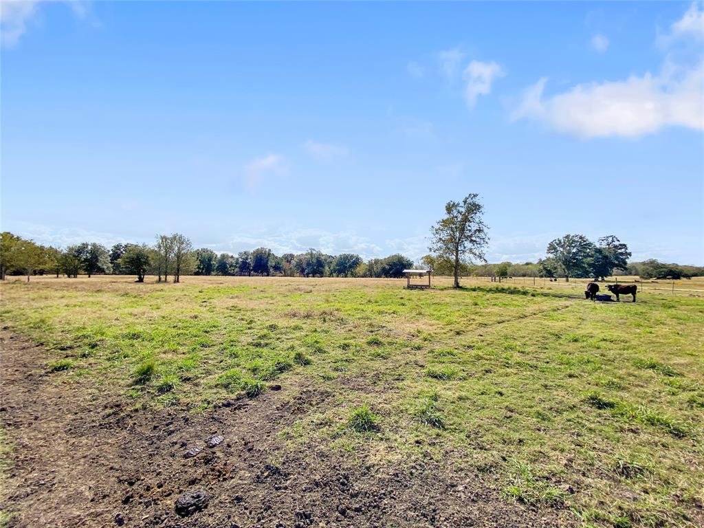 0 County Road 740 Off, Danciger, Texas 77444, ,1 BathroomBathrooms,Country Homes/acreage,For Sale,County Road 740 Off,94350166