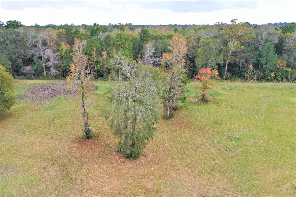 11759 Hwy 59, Cleveland, Texas 77327, 1 Bedroom Bedrooms, 2 Rooms Rooms,1 BathroomBathrooms,Country Homes/acreage,For Sale,Hwy 59,24230858