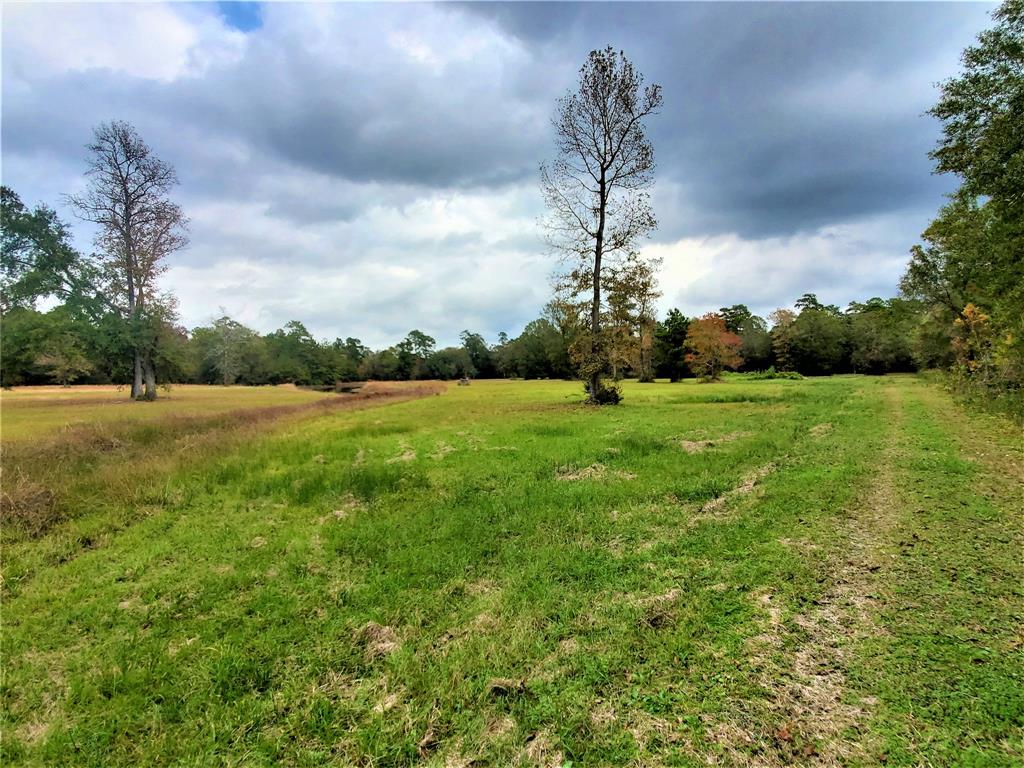 11759 Hwy 59, Cleveland, Texas 77327, 1 Bedroom Bedrooms, 2 Rooms Rooms,1 BathroomBathrooms,Country Homes/acreage,For Sale,Hwy 59,24230858