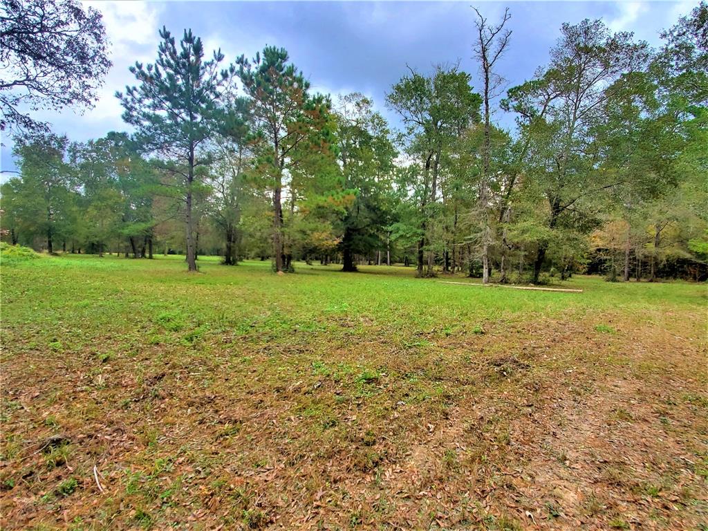 11759 Hwy 59, Cleveland, Texas 77327, 1 Bedroom Bedrooms, 2 Rooms Rooms,1 BathroomBathrooms,Country Homes/acreage,For Sale,Hwy 59,24230858