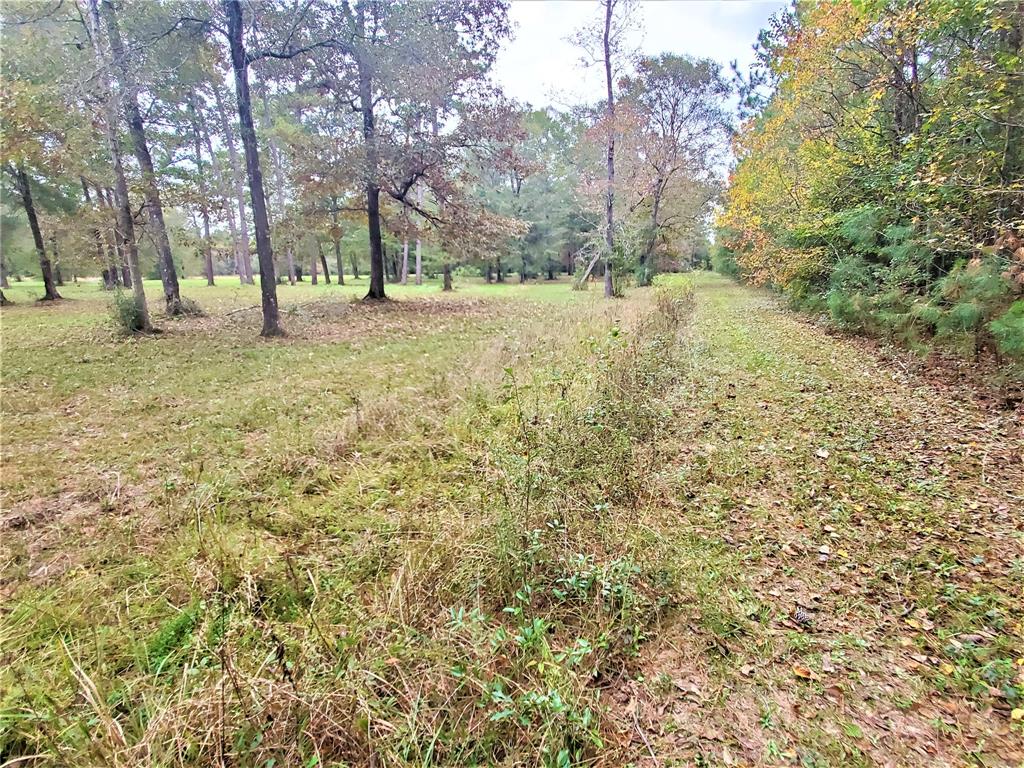 11759 Hwy 59, Cleveland, Texas 77327, 1 Bedroom Bedrooms, 2 Rooms Rooms,1 BathroomBathrooms,Country Homes/acreage,For Sale,Hwy 59,24230858