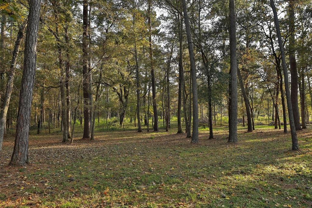 28110 2 Sycamore Court, Magnolia, Texas 77355, 5 Bedrooms Bedrooms, 11 Rooms Rooms,4 BathroomsBathrooms,Single-family,For Sale,Sycamore,59485792