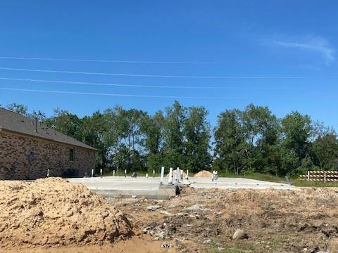 1409 2 Mount Lyell Drive, Iowa Colony, Texas 77583, 4 Bedrooms Bedrooms, 7 Rooms Rooms,2 BathroomsBathrooms,Single-family,For Sale,Mount Lyell,74191676