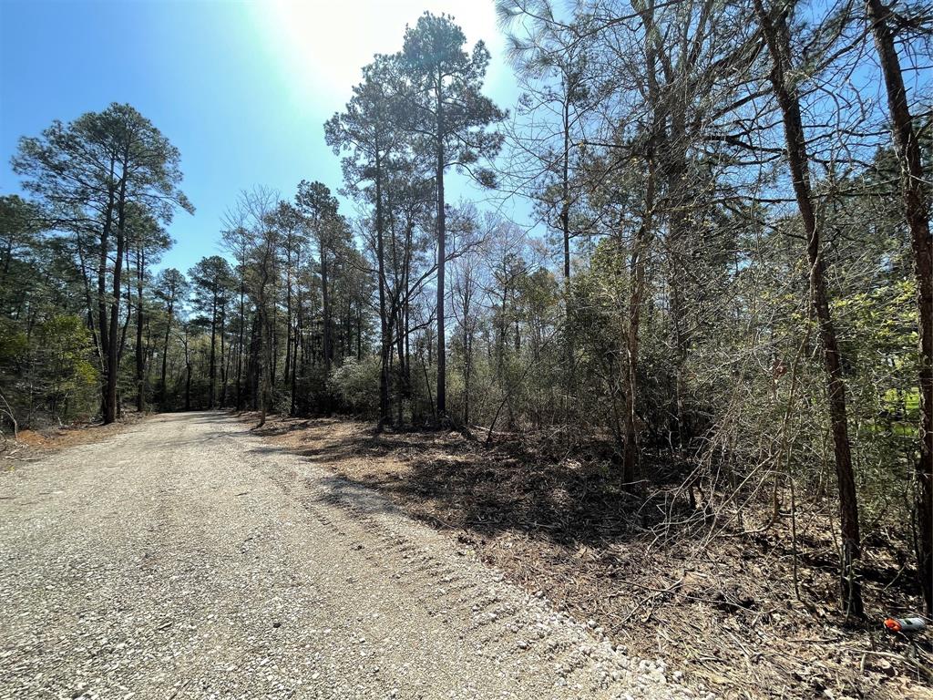 0000 Williams Road, Conroe, Texas 77303, ,Lots,For Sale,Williams,98577226