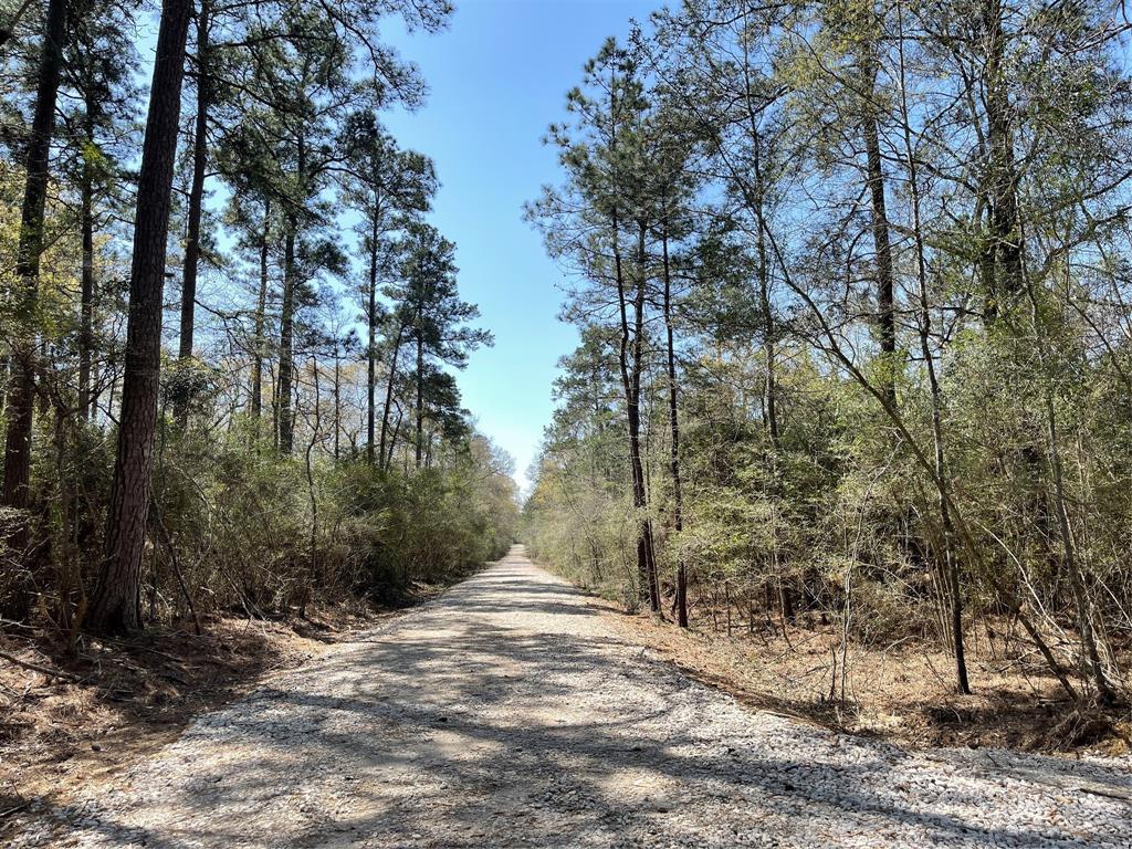 0000 Williams Road, Conroe, Texas 77303, ,Lots,For Sale,Williams,98577226