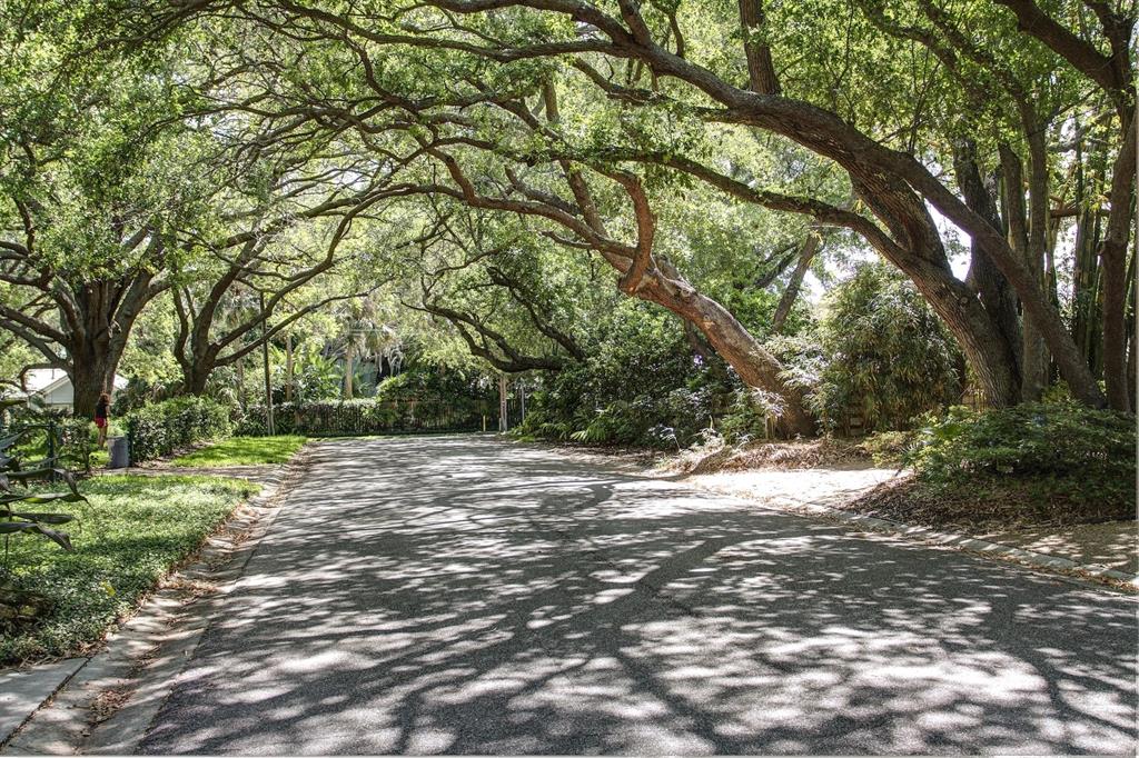 7917 1 Westwood Drive, Houston, Texas 77055, 3 Bedrooms Bedrooms, 8 Rooms Rooms,2 BathroomsBathrooms,Single-family,For Sale,Westwood,72080329