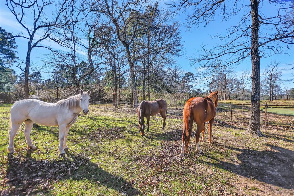 14837 1.5 Stagecoach Road, Stagecoach, Texas 77355, 4 Bedrooms Bedrooms, 13 Rooms Rooms,3 BathroomsBathrooms,Single-family,For Sale,Stagecoach,72906133