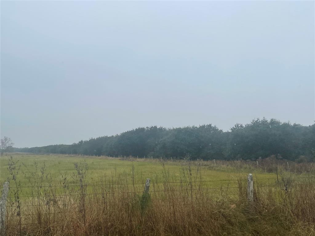 1015 Daily Road, Rosenberg, Texas 77471, ,Country Homes/acreage,For Sale,Daily,67554955