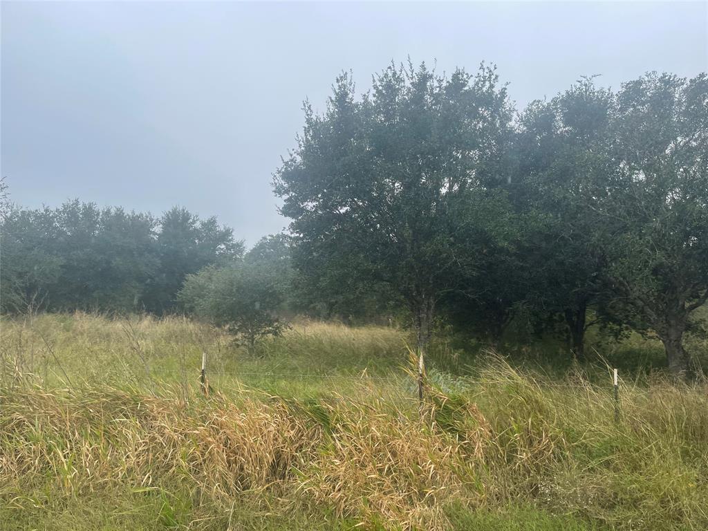 1015 Daily Road, Rosenberg, Texas 77471, ,Country Homes/acreage,For Sale,Daily,67554955