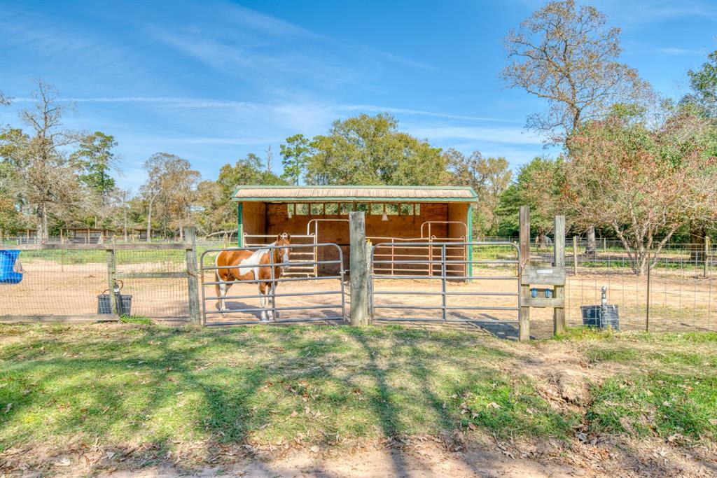 30502 1 Walnut Creek Road, Magnolia, Texas 77355, 3 Bedrooms Bedrooms, 3 Rooms Rooms,2 BathroomsBathrooms,Country Homes/acreage,For Sale,Walnut Creek,32835698