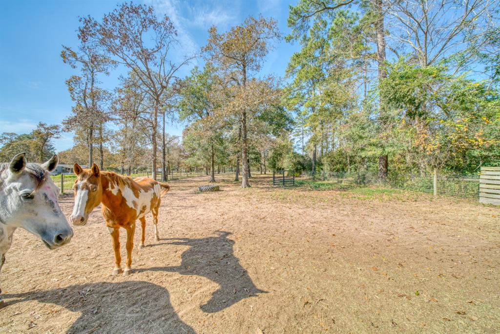 30502 1 Walnut Creek Road, Magnolia, Texas 77355, 3 Bedrooms Bedrooms, 3 Rooms Rooms,2 BathroomsBathrooms,Country Homes/acreage,For Sale,Walnut Creek,32835698