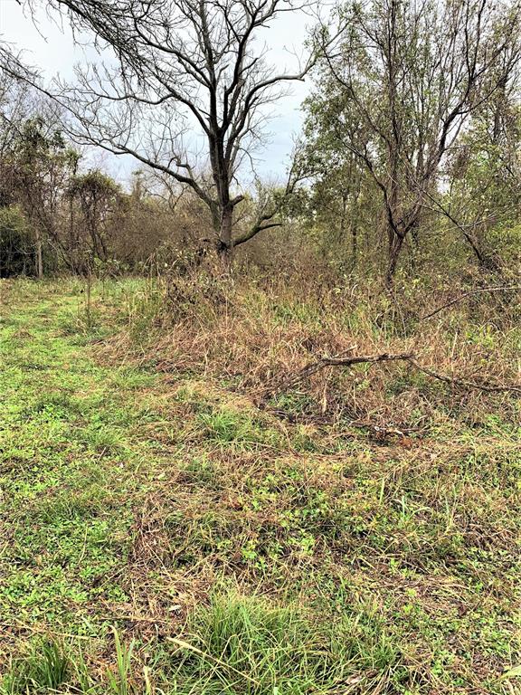 0 Red Bird Lane, Richmond, Texas 77406, ,Lots,For Sale,Red Bird,82028286