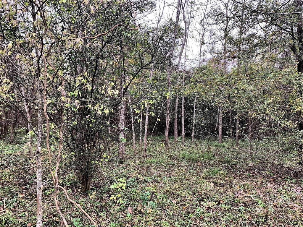 0 Red Bird Lane, Richmond, Texas 77406, ,Lots,For Sale,Red Bird,82028286
