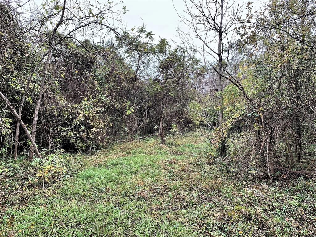 0 Red Bird Lane, Richmond, Texas 77406, ,Lots,For Sale,Red Bird,82028286