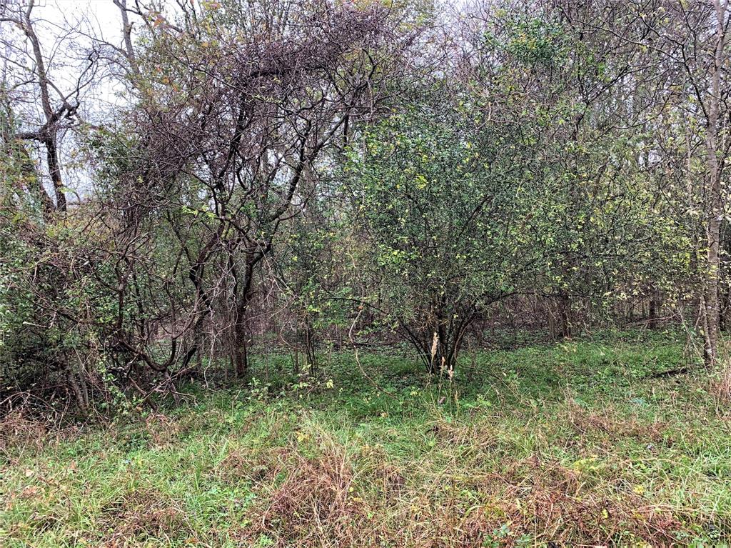 0 Red Bird Lane, Richmond, Texas 77406, ,Lots,For Sale,Red Bird,82028286