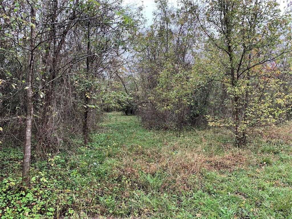 0 Red Bird Lane, Richmond, Texas 77406, ,Lots,For Sale,Red Bird,82028286