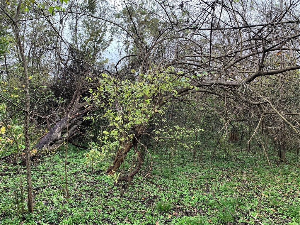 0 Red Bird Lane, Richmond, Texas 77406, ,Lots,For Sale,Red Bird,82028286