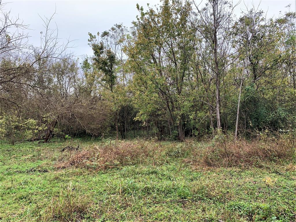0 Red Bird Lane, Richmond, Texas 77406, ,Lots,For Sale,Red Bird,82028286