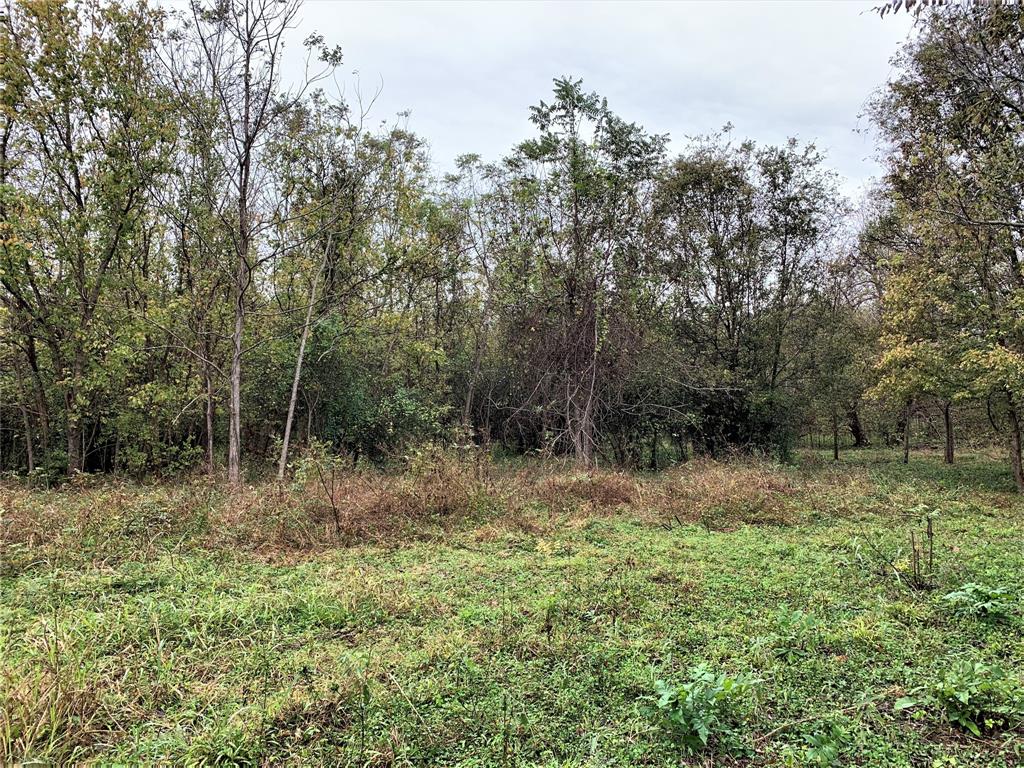 0 Red Bird Lane, Richmond, Texas 77406, ,Lots,For Sale,Red Bird,82028286