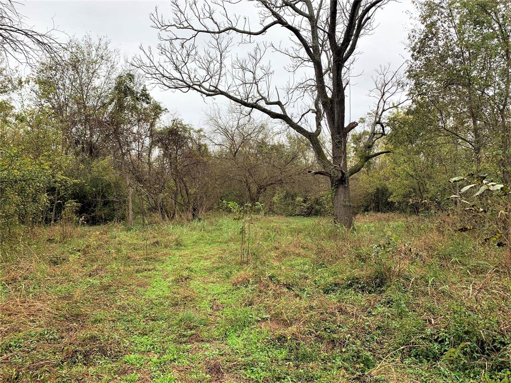 0 Red Bird Lane, Richmond, Texas 77406, ,Lots,For Sale,Red Bird,82028286