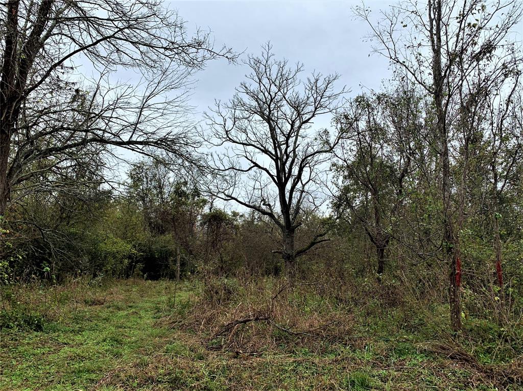 0 Red Bird Lane, Richmond, Texas 77406, ,Lots,For Sale,Red Bird,82028286