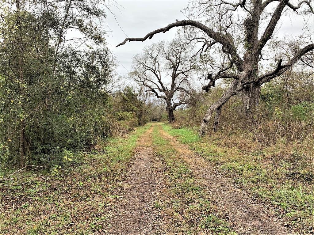 0 Red Bird Lane, Richmond, Texas 77406, ,Lots,For Sale,Red Bird,82028286