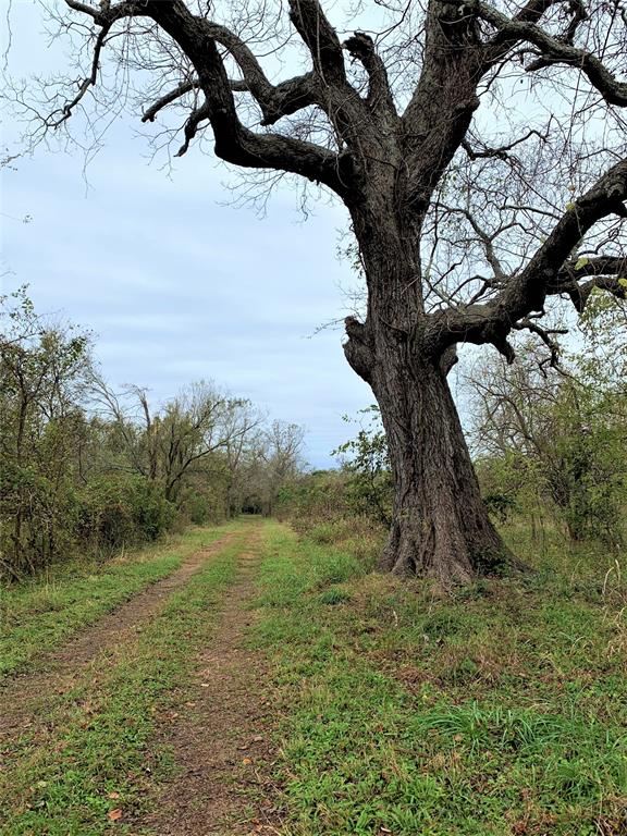 0 Red Bird Lane, Richmond, Texas 77406, ,Lots,For Sale,Red Bird,82028286