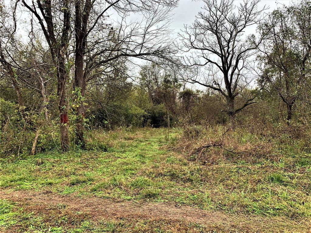 0 Red Bird Lane, Richmond, Texas 77406, ,Lots,For Sale,Red Bird,82028286