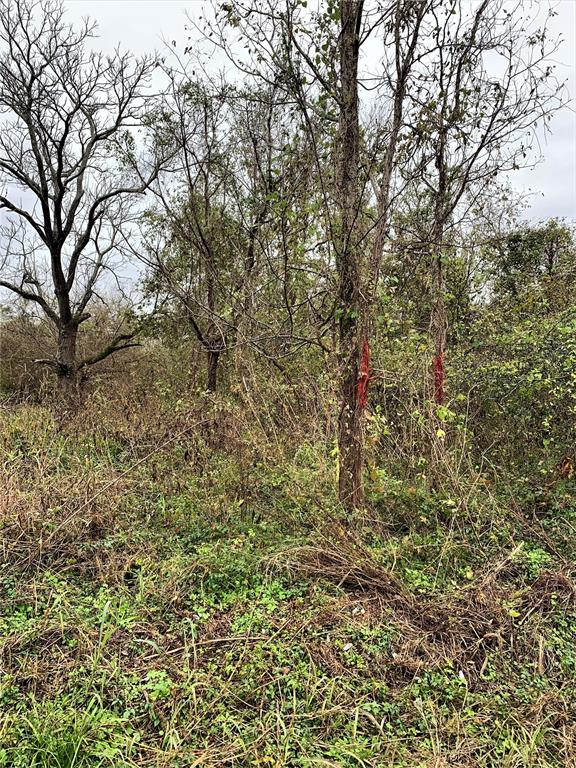 0 Red Bird Lane, Richmond, Texas 77406, ,Lots,For Sale,Red Bird,82028286