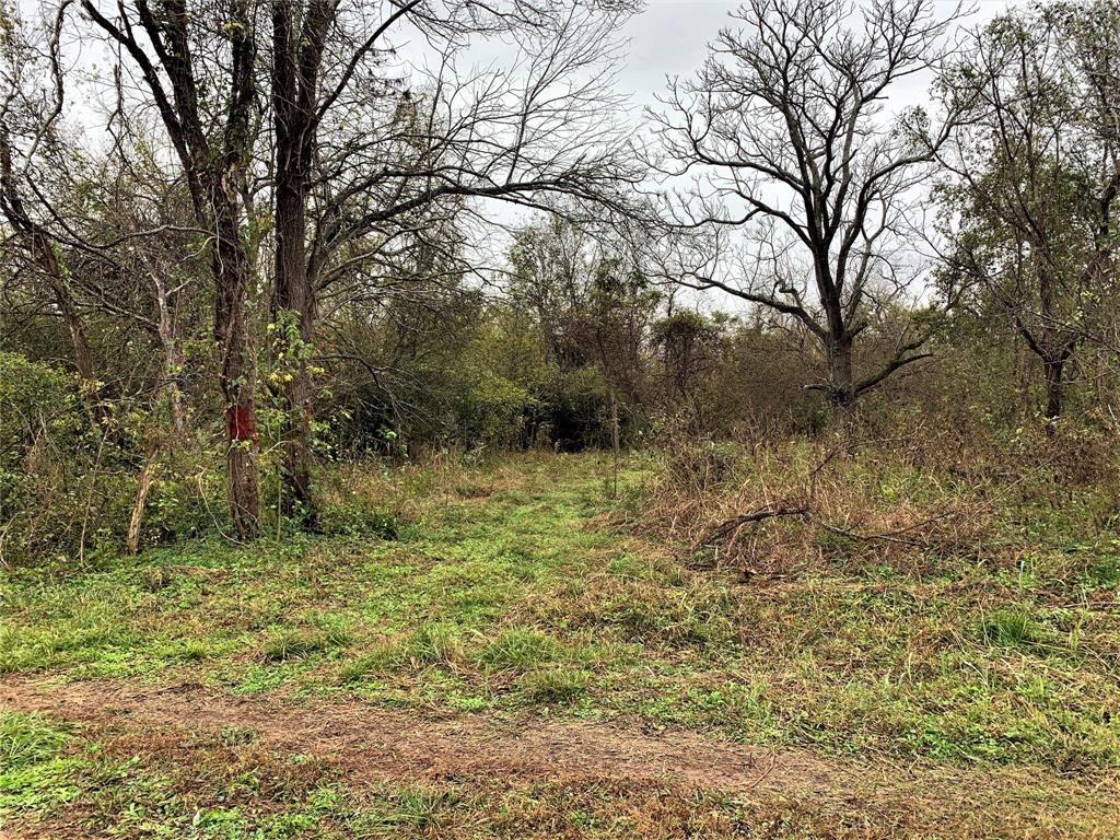 0 Red Bird Lane, Richmond, Texas 77406, ,Lots,For Sale,Red Bird,82028286