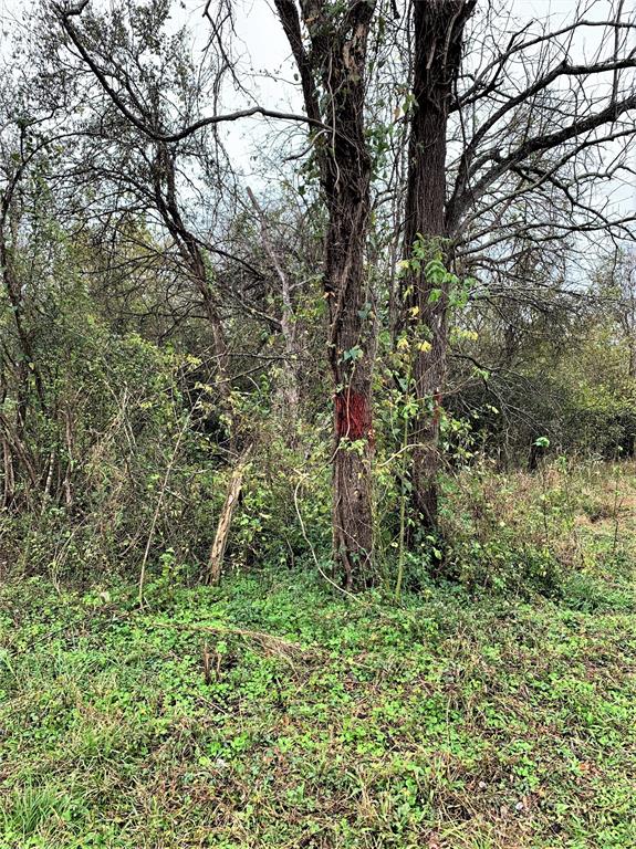 0 Red Bird Lane, Richmond, Texas 77406, ,Lots,For Sale,Red Bird,82028286