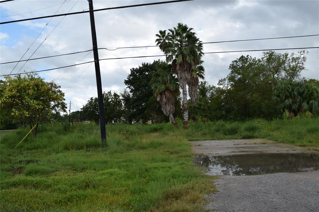 00 Bailey Road, Manvel, Texas 77584, ,Lots,For Sale,Bailey,66435551