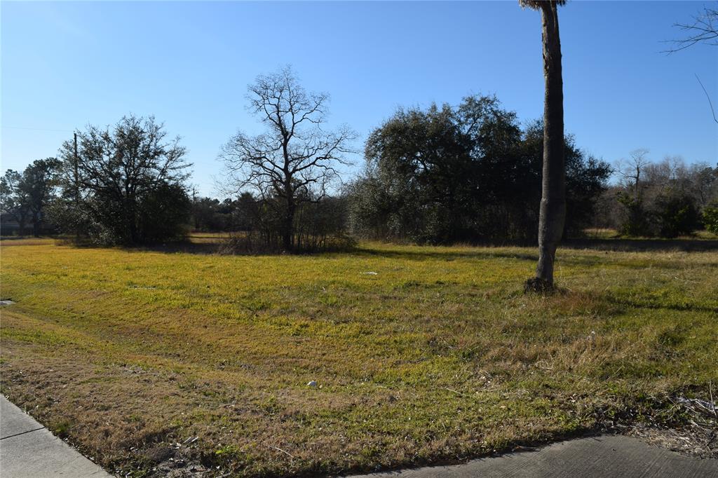 3404 Dixie Farm Road, Pearland, Texas 77581, ,Lots,For Sale,Dixie Farm,19947512