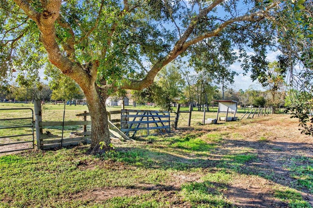 2381 1 County Road 155, Alvin, Texas 77511, 1 Bedroom Bedrooms, 3 Rooms Rooms,1 BathroomBathrooms,Country Homes/acreage,For Sale,County Road 155,71996096