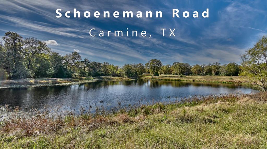 TBD (40.58 ac) Schoenemann Rd, Carmine, TX 78932