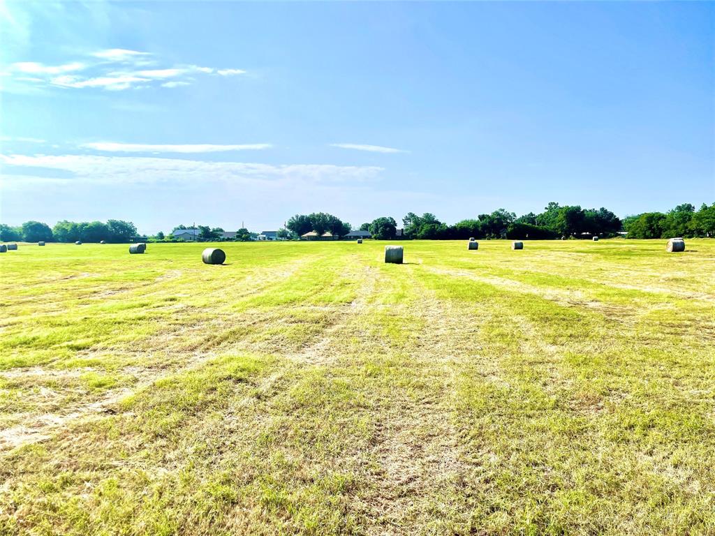 Tbd W Hwy 171  , Mexia, Texas image 11