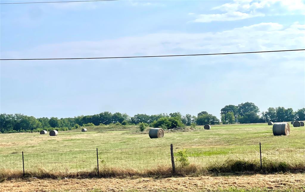 Tbd W Hwy 171  , Mexia, Texas image 12