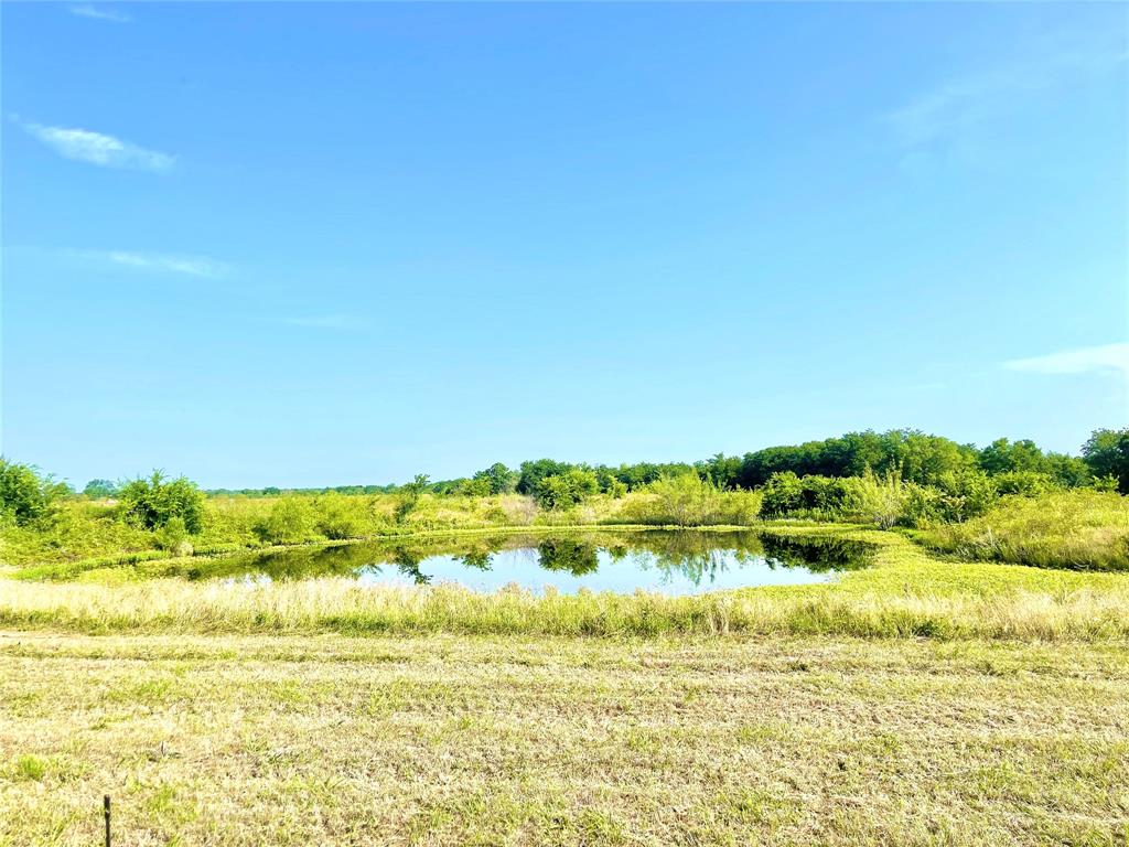 Tbd W Hwy 171  , Mexia, Texas image 18