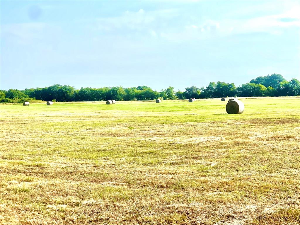 Tbd W Hwy 171  , Mexia, Texas image 21