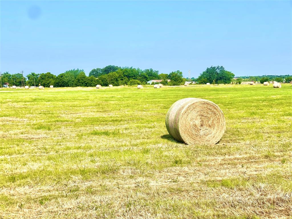 Tbd W Hwy 171  , Mexia, Texas image 24