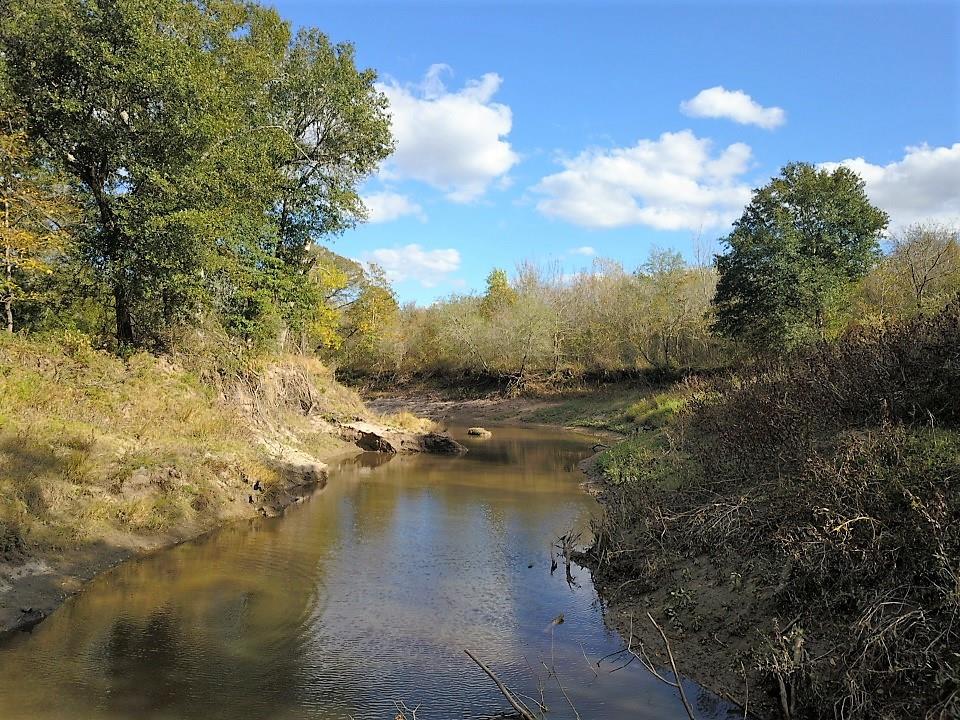 If you’re looking for the ideal recreational tract, these 140 acres will not disappoint. This property boasts over a half mile of live water frontage on Nails Creek which supplies ample opportunities for fishing and waterfowl hunting. With the back border being shared with Lake Somerville, the amount of wildlife traversing this property is second to none. The property is currently set up with six stands and multiple feeders along with numerous food plots. If hunting is not your passion, spend hours hiking along the banks of the creek or relaxing under the huge live oak and pin oak trees that scatter the ranch. Lake Somerville entrance is only 3 miles away! There is also enough grass to hold a small herd, should the cattle operation be in your plans.The pricing on this tract is for 50% undivided interest. Access and use of the entire 140 acres for a fraction of the cost. Currently there is no electricity or potable water on the property.