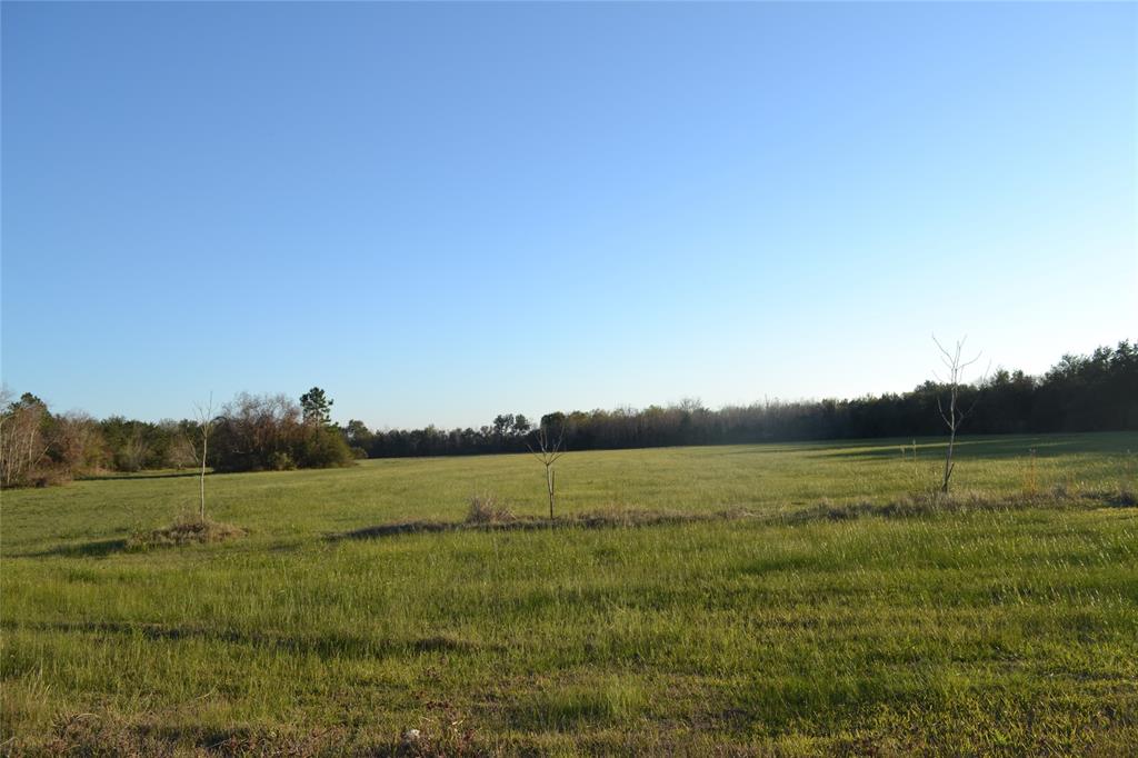 15+ acres tons of frontage to Interstate 10 in Winnie.  Lots of commercial and residential potential.  There are several newer businesses located nearby as well as an established subdivision behind the property.  Great location for a new business, new subdivision or build your own home.